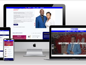 Capture 006 - techsini.com